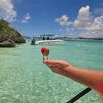 @fredbuisson69 - Instagram