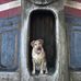 Fred Burk - Facebook
