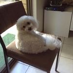 Fred Burns - @fredburns - Instagram