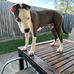 Fred Burns - Facebook