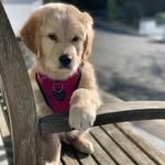 Fred Burns - @fredburns519 - Instagram