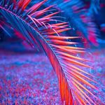 Fred Burns - @fred.burns.50309 - Instagram