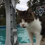 Fred - @fredburns_ - Instagram