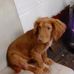 Fred Burnside - Facebook