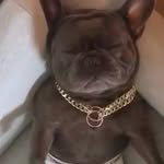 Fred Butters - @fred.butters.35 - Instagram