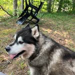 Fred Call - @fred.call.754 - Instagram