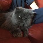 Fred callahan - @fred_d_callahan - Instagram