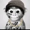 Fred Cannon - @fredcannon123 - TikTok