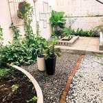 Fred Carey - @fredcarey355 - Instagram