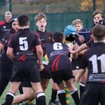 Freddie Carey - @freddie.care.y - Instagram