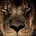 Fred Curley - Facebook