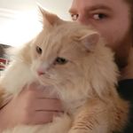 Fred Carmichael - @fredours_ - Instagram