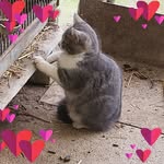Fred Caton - @frederique.caton - Instagram