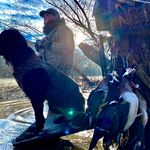 Fred Clay Morgan - @fredclaymorgan - Instagram