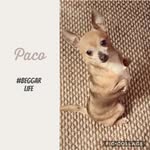 Fred clements i do stuff - @fred_clements - Instagram