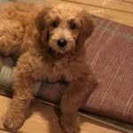 Fred Cochran - @fred_cochran - Instagram