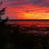 fred coco - @fredo.l7 - TikTok