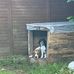 Fred Coco - Facebook