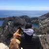 Fred Coco - @fredcoco2808 - TikTok