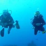 Fredcoco Drfish - @fredcoco_drfish - Instagram