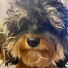 Freddy Colby - @freddy.colby - TikTok