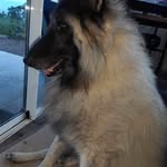 Fred Colin - @fred.colin.739 - Instagram