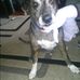 Fred Colley - Facebook