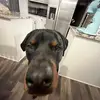 Connerfred - @connerfred - TikTok