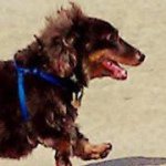 Fred Cooper - @freddycoop - Instagram