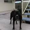 Fredrick Corbett - @fredrick.corbett7 - TikTok