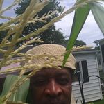 Fred Corley - @fred.corley.5 - Instagram