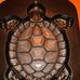Fred Cornett - Facebook