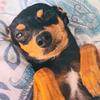 fredcorrea477 - @fredcorreaa4 - TikTok