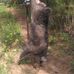 Fred Cox - Facebook