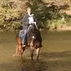 fredcox13 - @fredcox13 - TikTok