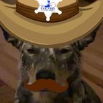 Fred Crawford - @crawforc22 - Instagram