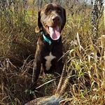 Fred Cross - @cross_fred - Instagram