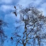 Freddie Crowley - @fred__crow - Instagram