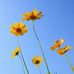 Frederic Crowell - Facebook