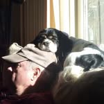 Fred Crummey - @crummeyfred - Instagram