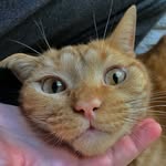 Frederick M. Crumley - @fred__crum - Instagram