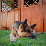 Fred Daugherty - @freddaugherty628 - Instagram