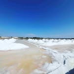 Fred Davison - @freddavison65 - Instagram