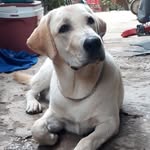 Fred Dias - @fred.diias - Instagram