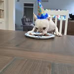 Fred Dick - @deadeyedkstr - Instagram