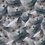 Fredrick & The Memesters - @fred._.dick - Instagram
