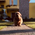 ★frederico★ - @fred_domingos_freitas_ - Instagram