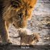 Fred Don - Facebook