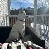 Fred Doyle - @fred.doyle5 - TikTok