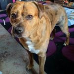 Rick Drury - @frederick.drury.1 - Instagram